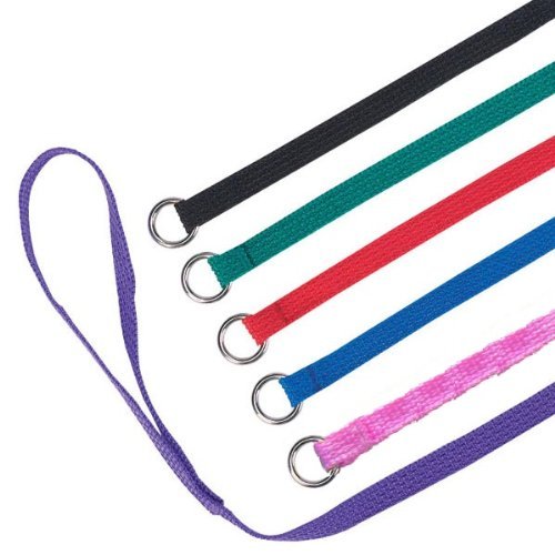Downtown Pet Supply Slip Lead Dog Leash 12 Pack, 4' X 1/2 - Universal Dog Leash With Metal O Ring - Machine Washable For Groom