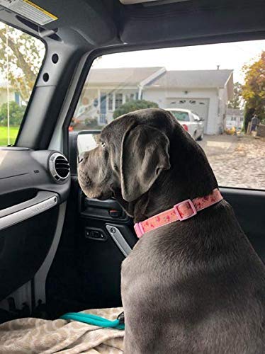 Yudote Floral Dog Collars Adjustable Nylon Collar With Quick Release Buckle For Female Dogs, Pink,Medium