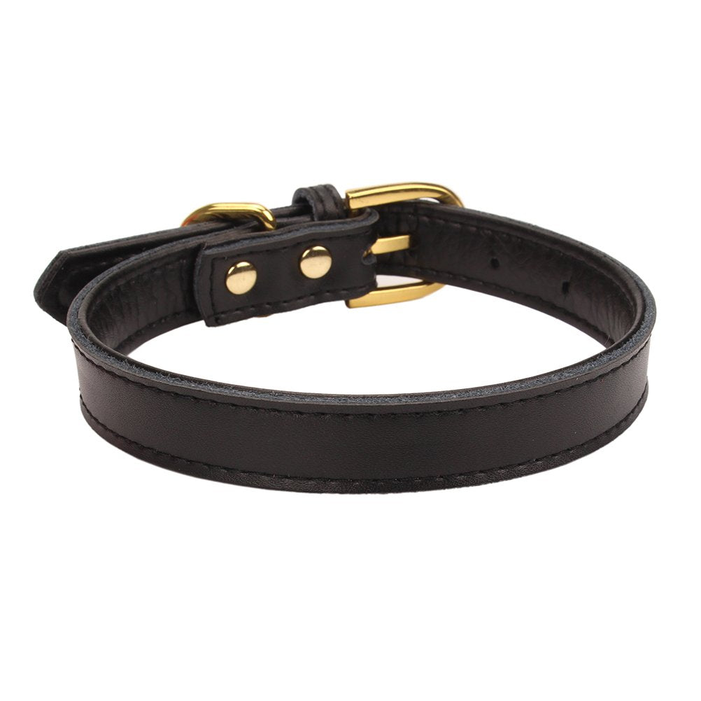 Aolove Basic Classic Padded Leather Pet Collars For Cats Puppy Small Medium Dogs (Large, Black)