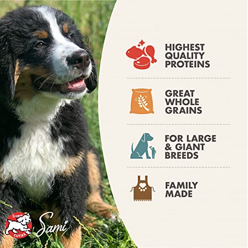 Fromm Large Breed Puppy Gold Premium Dry Dog Food - Dry Puppy Food for Large Breeds - Chicken Recipe - 15 lb