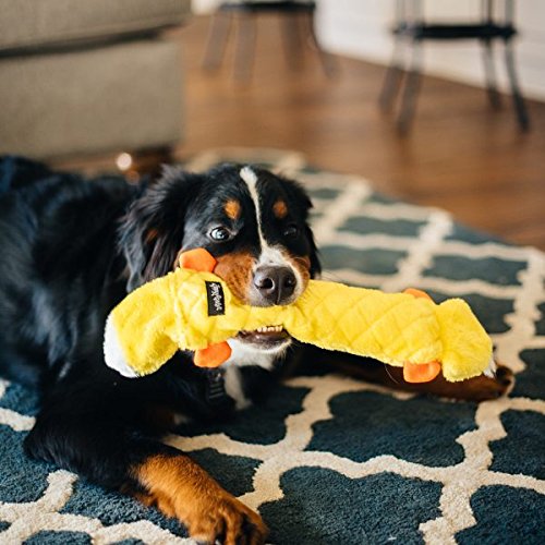 Zippypaws Jigglerz Plush Dog Toy With Squeaker, Stuffed Toy For Tough Play, Duck