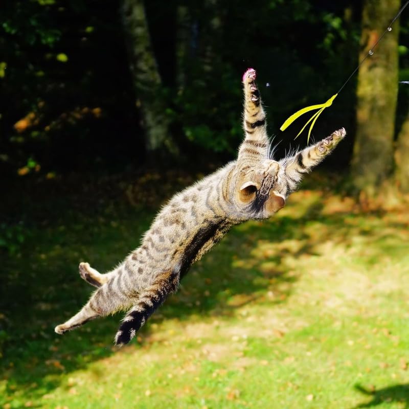 Dog Trust Feather Wand Cat Stick Toy  Best Playtime Toy For Indoor Cats 1 Pcs