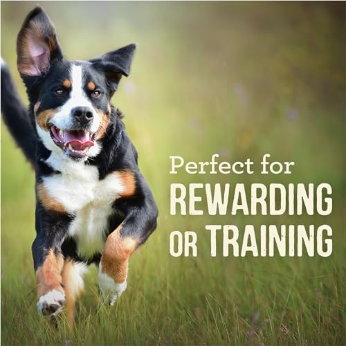 Merrick Power Bites Dog Treats, Real Salmon Recipe - 6 oz. Bag