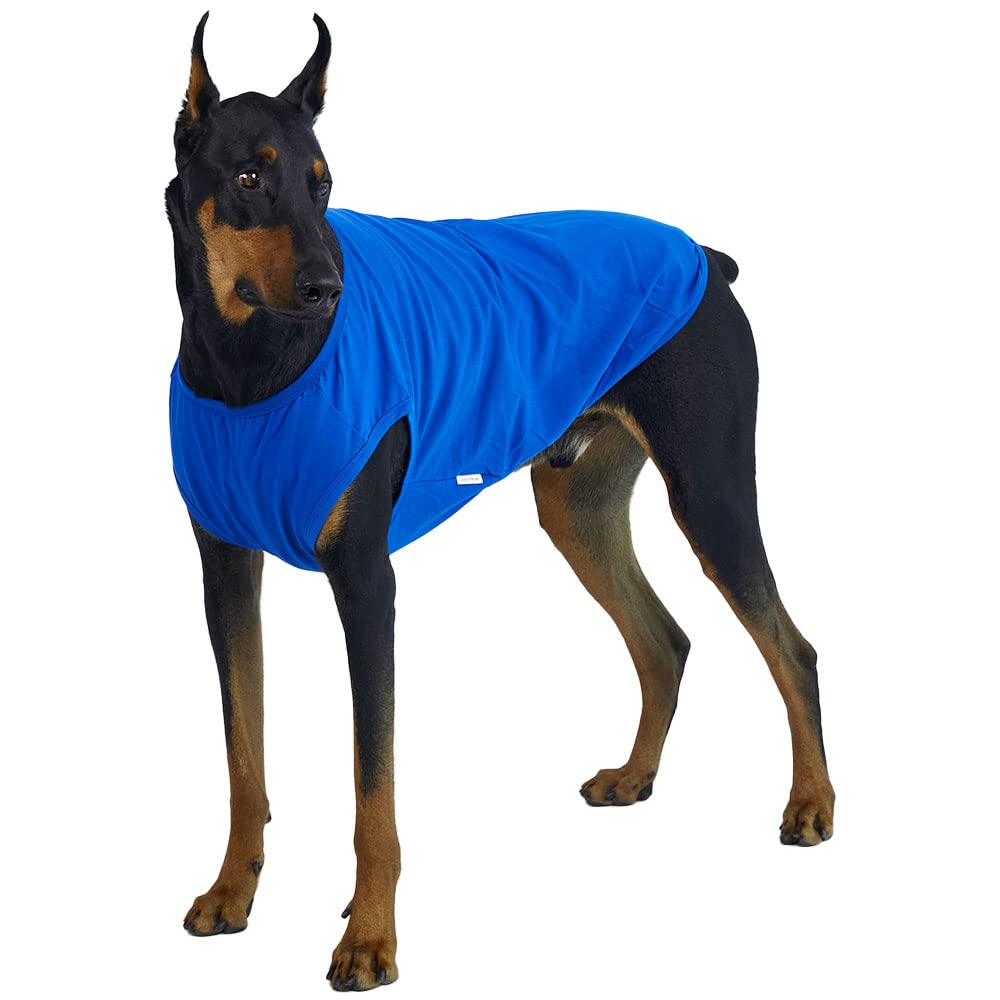 Lucky Petter Dog Sleeveless Tank Top Cotton Shirt Blue 3X-Large