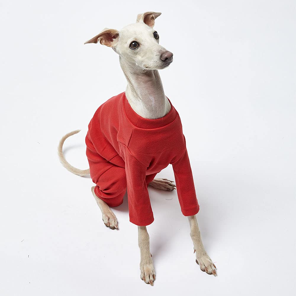 Lucky Petter Small Dog Pajamas - Basic Red Onesie Doggie Jammies Stretchable Dog Jumpsuit Bodysuit Pjs (X-Small)