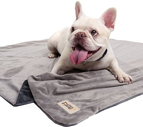 Friends Forever Durable Dog Blanket For Couch Protection, Two Tone Reversible Pet Hair Resistant Blanket For Dogs Cats Bed Kennel Crate Car Seat - Soft Velvet, Warm Fleece, Bailey 53' X 42'