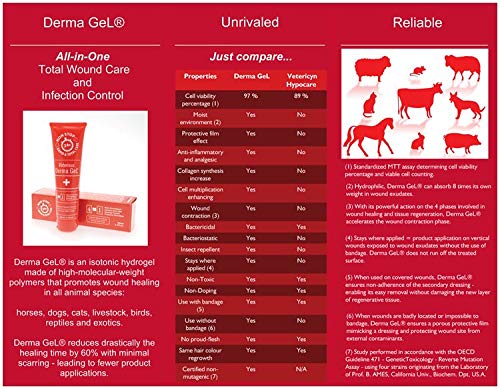 Veterinus Derma GeL PAW Care Pack with 5 x Mini Tubes 10mL - 0.34 fl.oz. - CAT Safe Non Toxic Contains: Freeze Dried Lavender ex