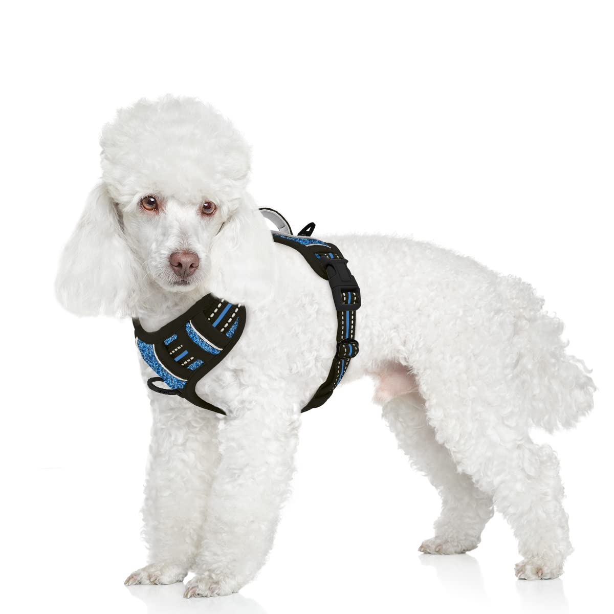 BARKBAY No Pull Dog Harness Front clip Heavy Duty Reflective Easy control Handle for Large Dog Walking with ID tag Pocket(BlueBl