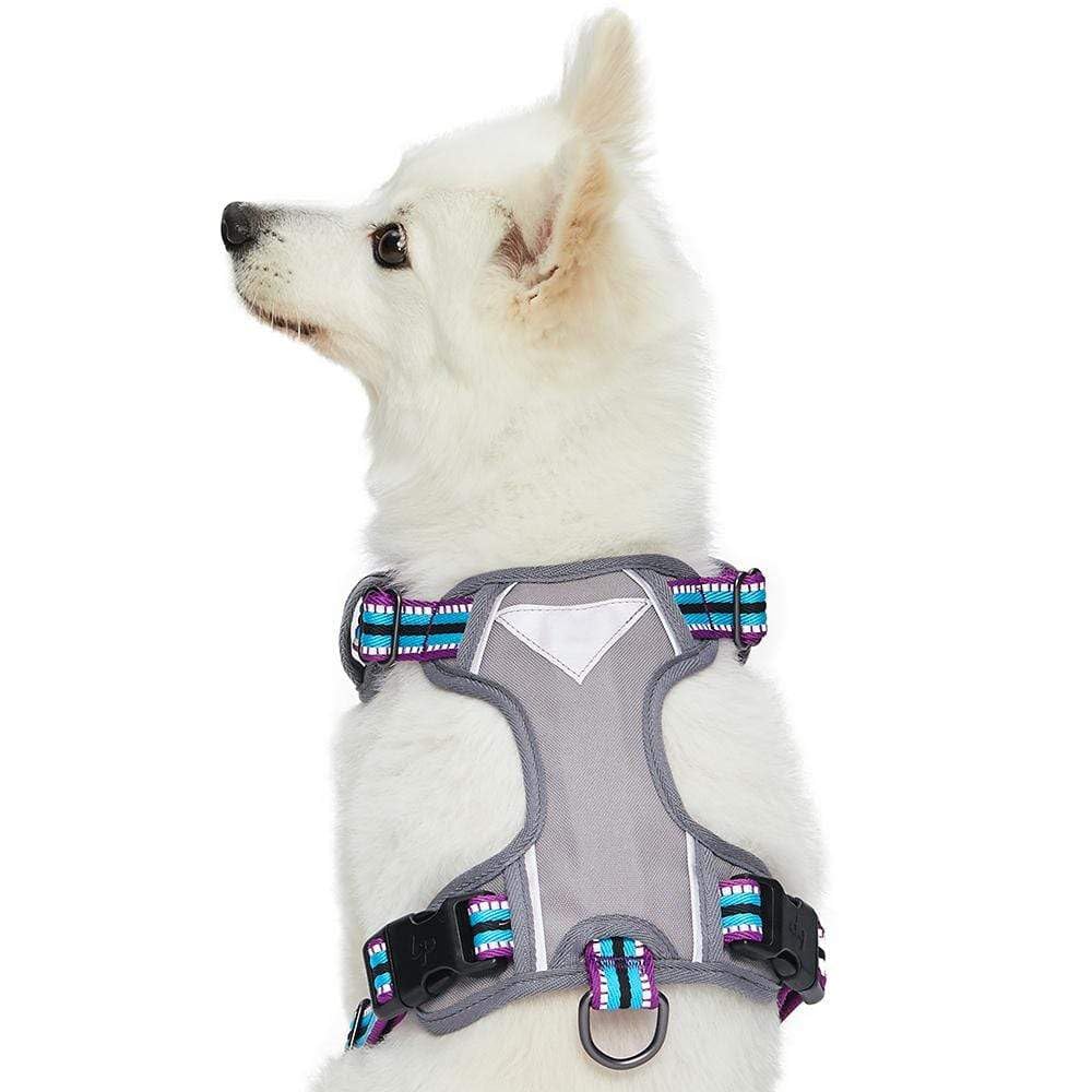 Blueberry Pet Soft & Comfy 3M Reflective Dog Harness Vest | Mesh Padded No Pull Dog Harness W/Front/Back Clips | Multi-Colored Stripe - Violet And River Blue | Reflective Dog Harness For Large Dogs
