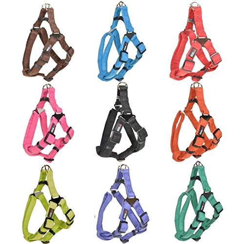 Dogline Comfort Soft and Padded Microfiber Flat Step-in Dog Harness for Dogs (W1 L 25-31), Teal