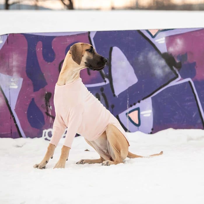 Gf Pet Gondola Base Layer For Dogs | Micro Polar Fleece Dog Bodysuit | Warm 4-Way Stretch Onesie | Full Body Coverage, Protection From Cold | Pajamas & Winterwear - Pink - Med
