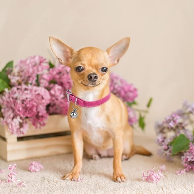 Brown Xs Dog Collar With Bell Leather Puppy Collar With Bell Adjustable Buckle Kitten Cat Collars For Xxsmall Xsmall Tiny Little