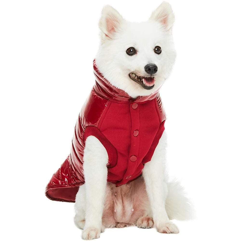Blueberry Pet Cozy & Comfy Windproof Lightweight Quilted Fall Winter Glossy Dog Puffer Jacket In Deep Rouge, Back Length 18.5', Size 18, Warm Coat For Large Dogs