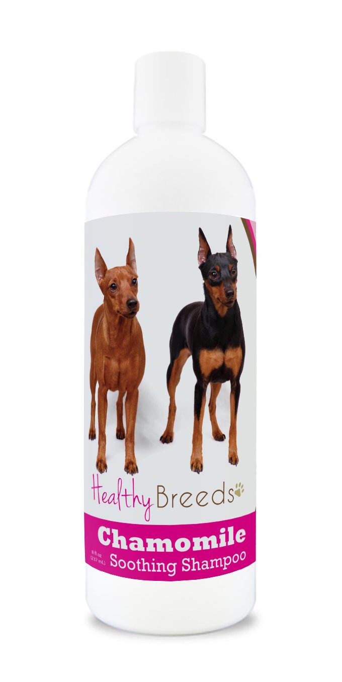 Healthy Breeds Miniature Pinscher Chamomile Soothing Dog Shampoo 8 oz