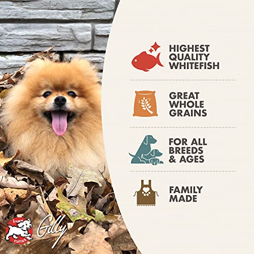 Fromm Four-Star Nutritionals Whitefish & Potato Dog Food - Premium Dry Dog Food - Whitefish Recipe - 26 lb