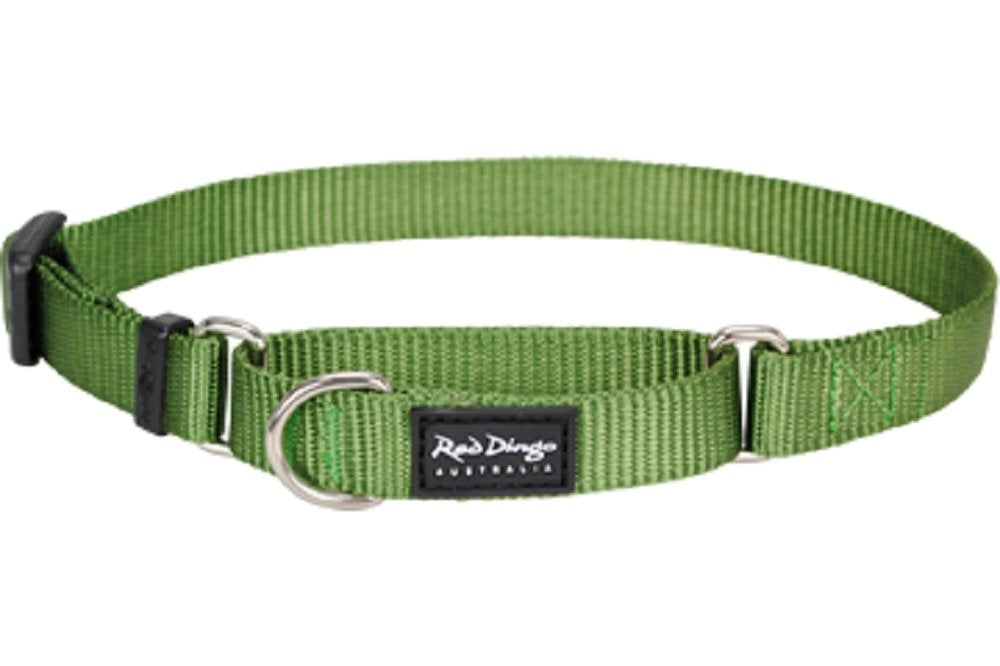 Red Dingo Classic Martingale Dog Collar, Medium, Green