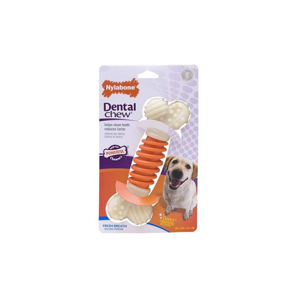 Nylabone Dental Pro Action Chew Bacon Large