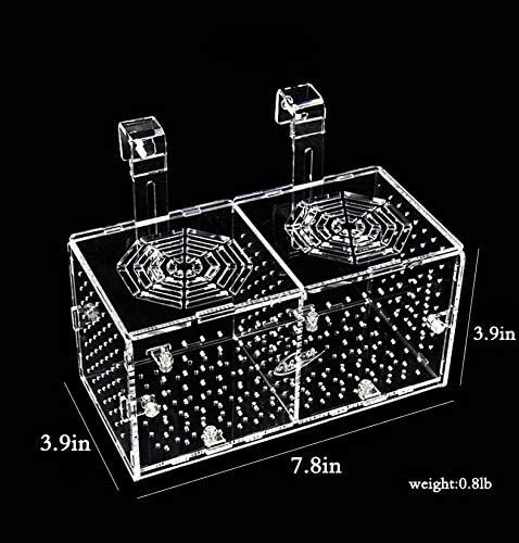 Hamiledyi Acrylic Breeding Isolation Box - Transparent Aquarium Hatchery for Guppy/Shrimp/Small Fish, Safe Nursery Tank with Air