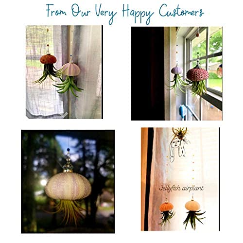 2 Dirty Birds, Handmade Live Jellyfish Air House Plants, Hanging Sea Urchin Shell W/Sea Glass, Swarovski, & Freshwater Pearls (P