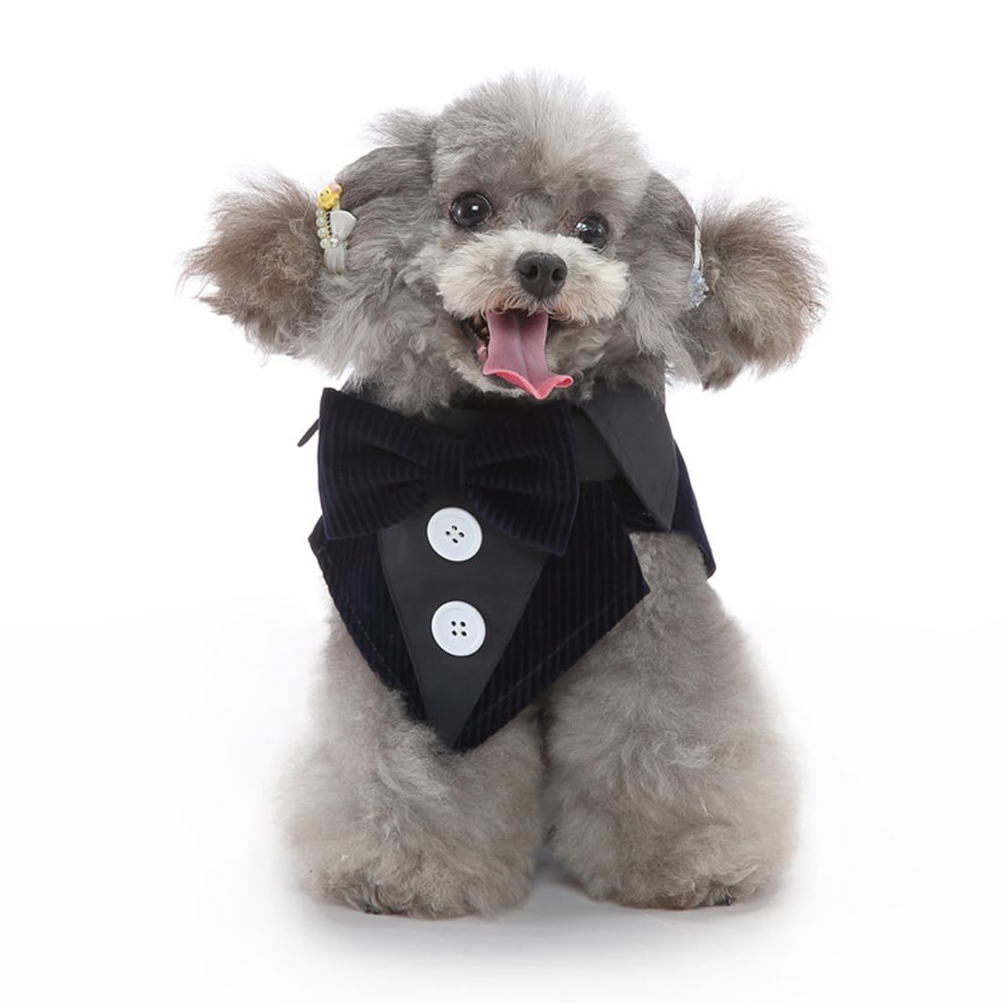 Doteyayp Puppy Velvet Tuxedo With Detachable Bowtie Prom Wedding Formal Wear Prince Costume For Small Dog (Small, Navy)