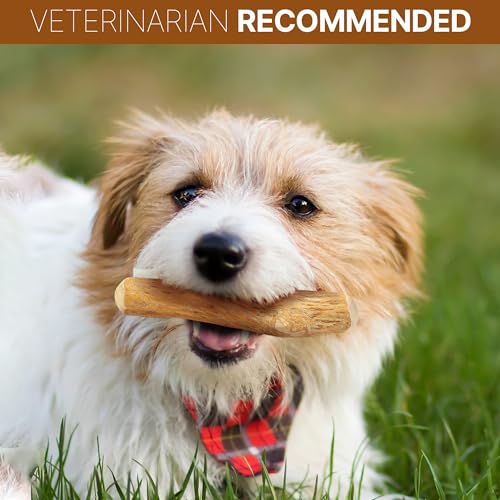 Spot Coffee Wood Dog Chew Toy – 100% Natural & Sustainably Sourced Non-Splintering Wood From Coffee Plants, Long Lasting, Durable Toy For Aggressive Chewers, For Large Dogs And Puppies Up To 99Lbs