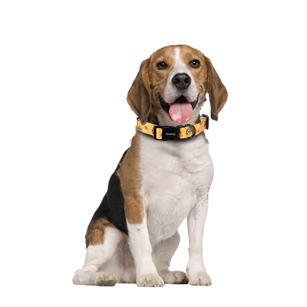 Ihoming Dog Collar And Leash Set For Daily Outdoor Walking Running Training, Bee Design For Medium Boys Girls Dogs Cats Pets, M-Up To 45Lbs