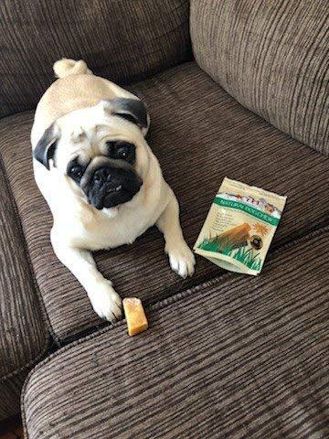 Authentic Himalayan Yak Cheese for Dogs - Small/Medium (Pack of 4) - Sourced from Pristine Himalayan Foothill, Rawhide-Free, NO