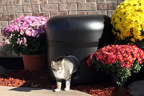 The Kitty Tube Wisconsin Grown Wheat Straw
