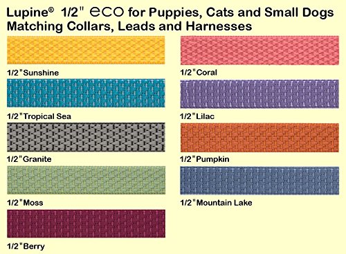 LupinePet Eco 1/2 Mountain Lake 10-16 Adjustable Collar for Small Dogs