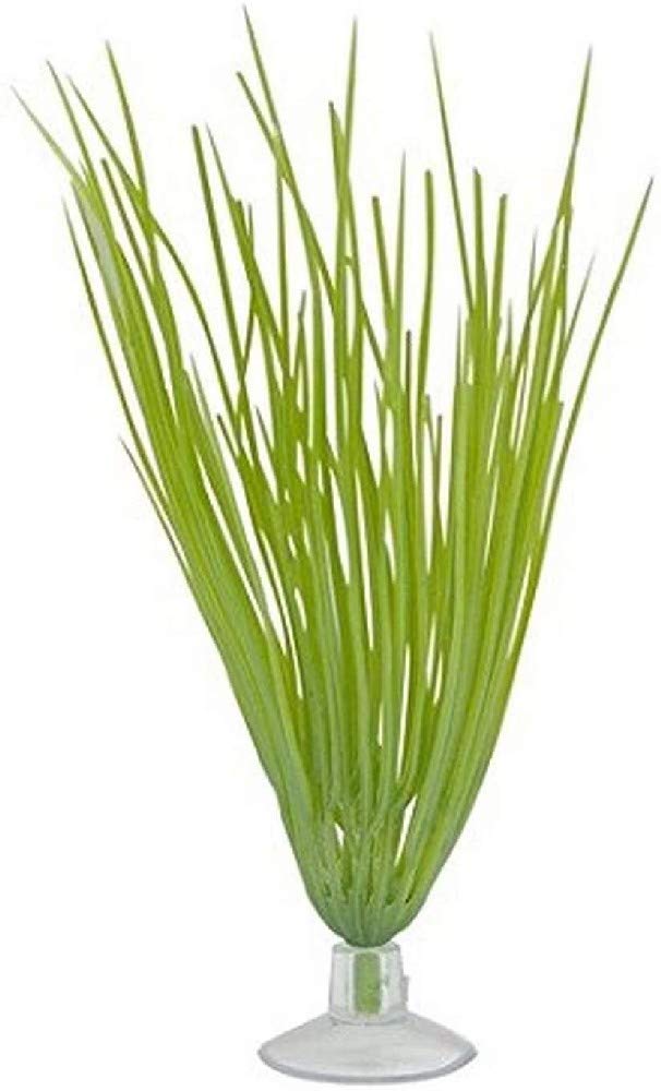 Marina Betta Kit Plastic Plant, Hairgrass