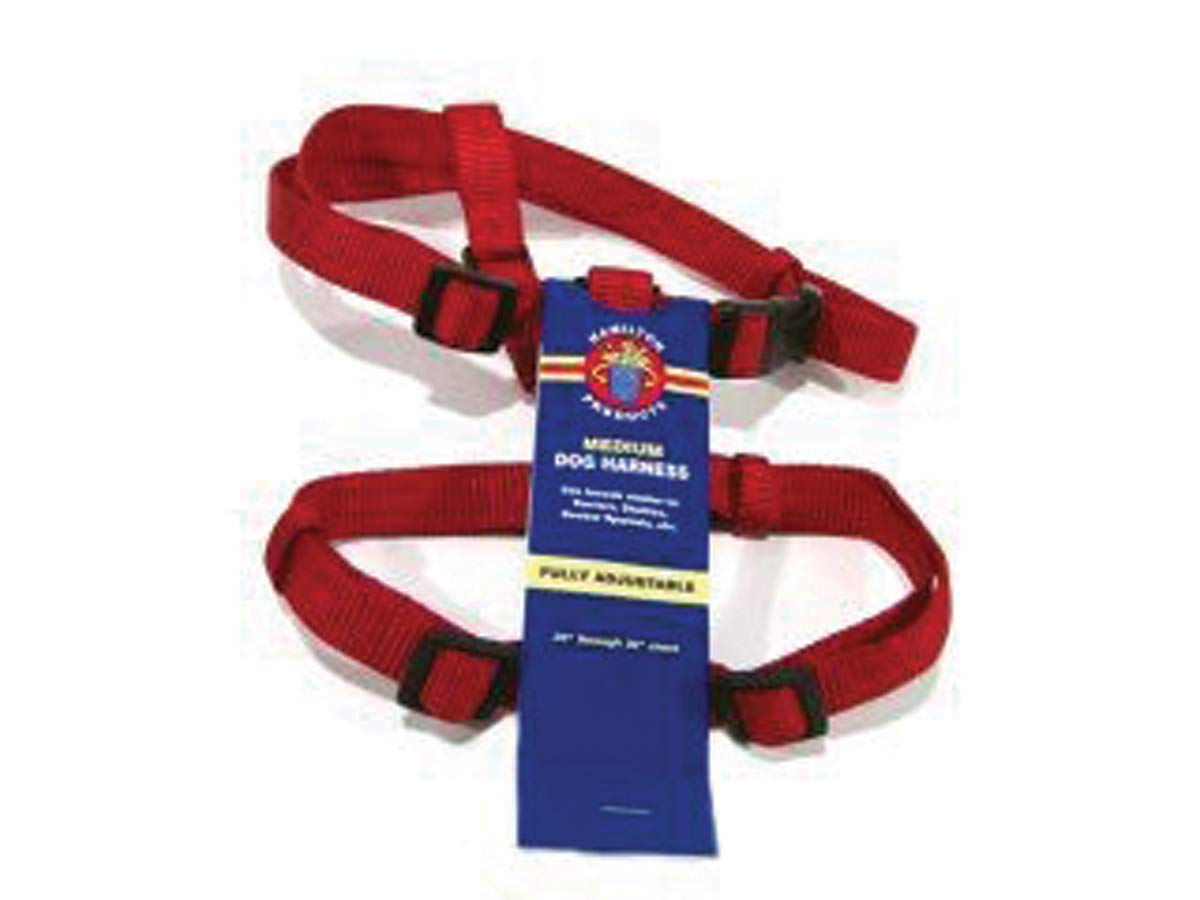 Hamilton Adjustable Comfort Nylon Dog Harness, Red, 3/4'' x 20-30''