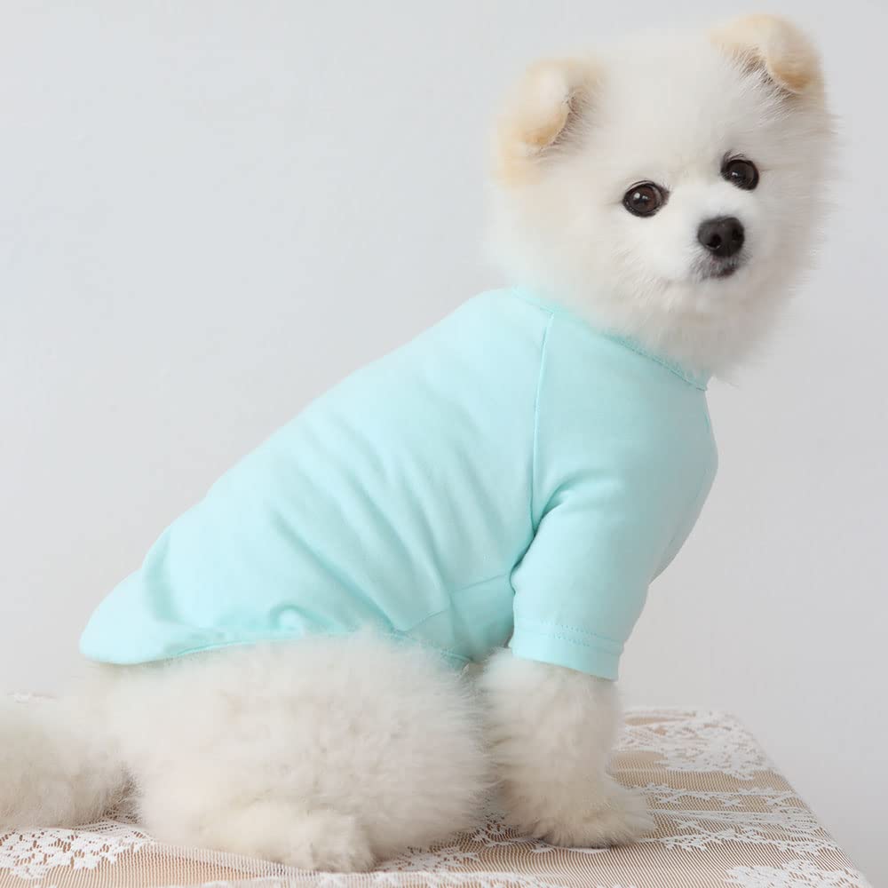 Lucky Petter Dog Shirt For Small Dogs Plain T-Shirts Soft Breathable Dog Cotton Shirt Pet Clothes (Large, Mint)