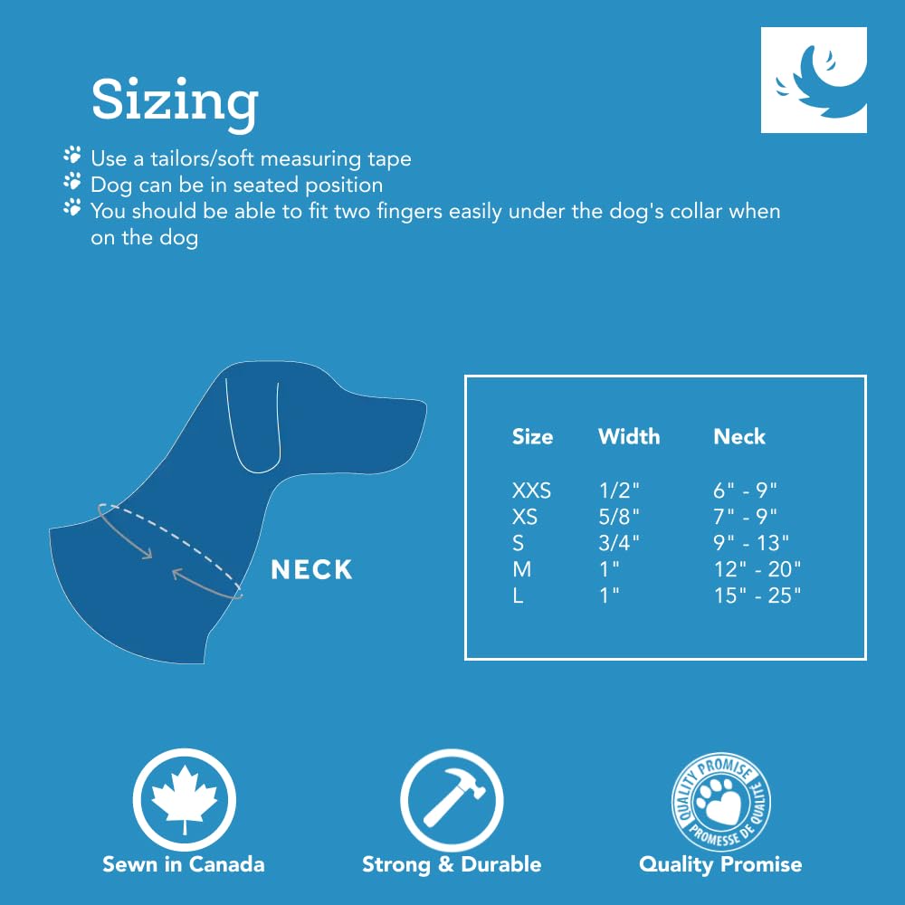 Rc Pets 3/4 Inch Adjustable Dog Clip Collar, Small, Tan Tartan