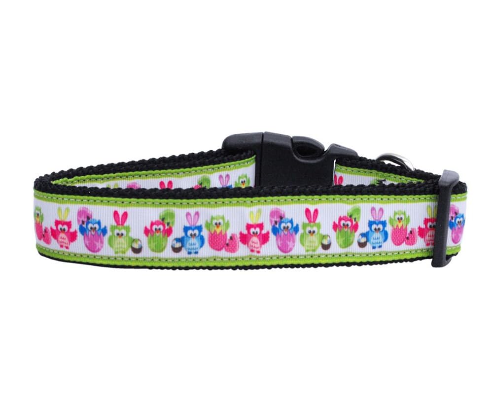 Pet Dog & Cat Nylon Collar or Leash, &quot;Easter Birdies&quot; LG Collar