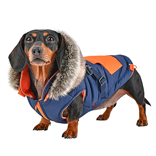 Puppia Orson Dog Coat - Red - M