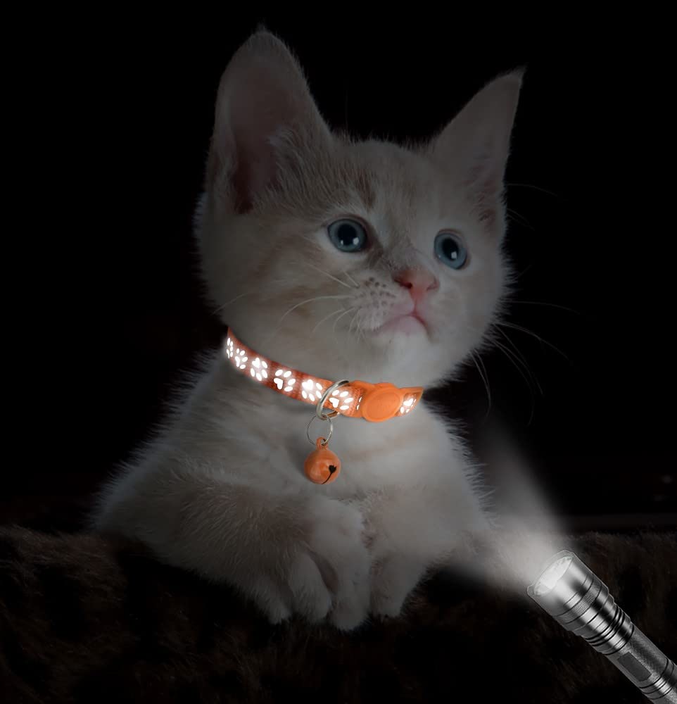 Taglory Reflective Cat Collars Breakaway With Bell, 2 Pack Girl Boy Pet Kitten Collar Adjustable 6-8 Inch, Orange