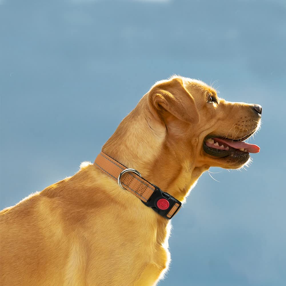 Taglory Reflective Dog Collar With Safety Locking Buckle, Adjustable Nylon Pet Collars For Extra Large Dogs Female Male, Tan, Xl