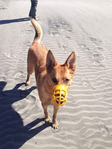 Birdwell Enterprises - Plastic Dog Muzzle With Adjustable Plastic Coated Nylon Headstall - Made In The Usa - (Large, Red)