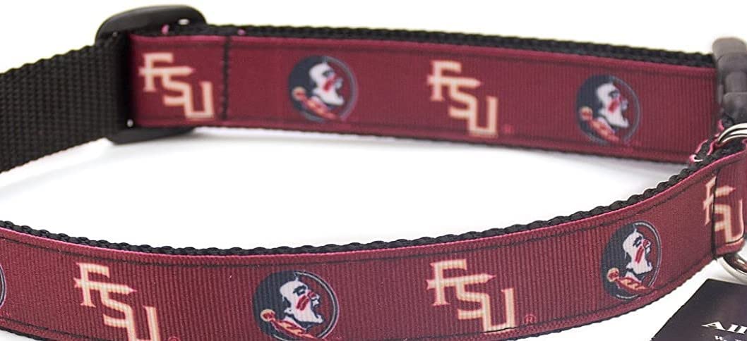 College Dog Collar (Large, Florida State FSU)