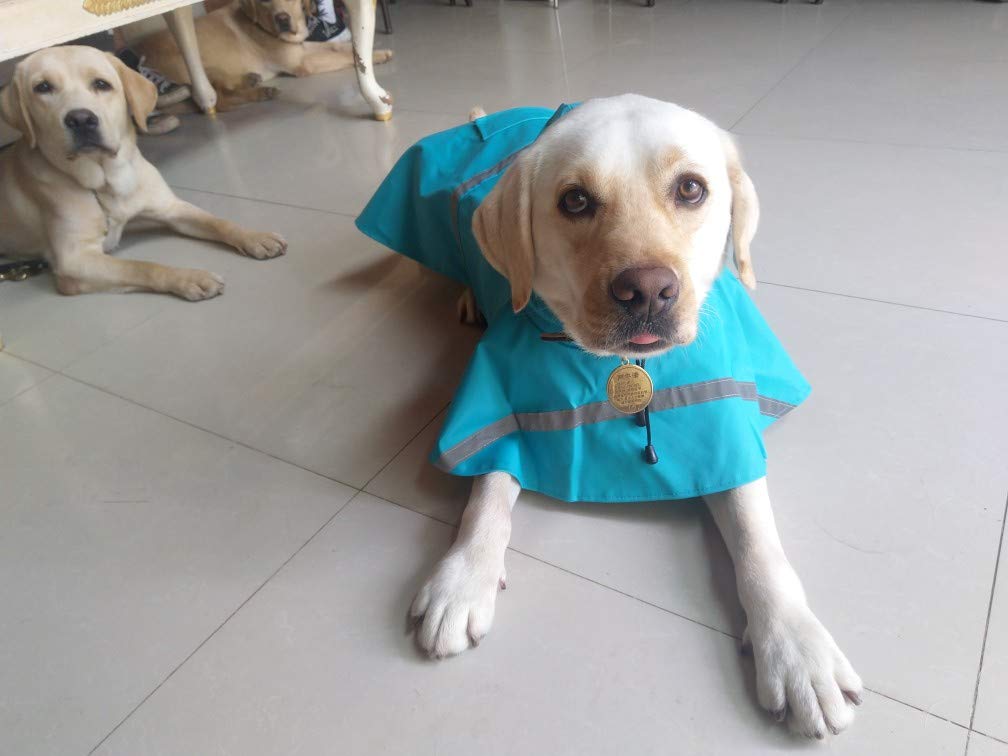 Hapee Dog Raincoats For Large Dogs With Reflective Strip Hoodie,Rain Poncho Jacket For Dogs C3-Lake Blue