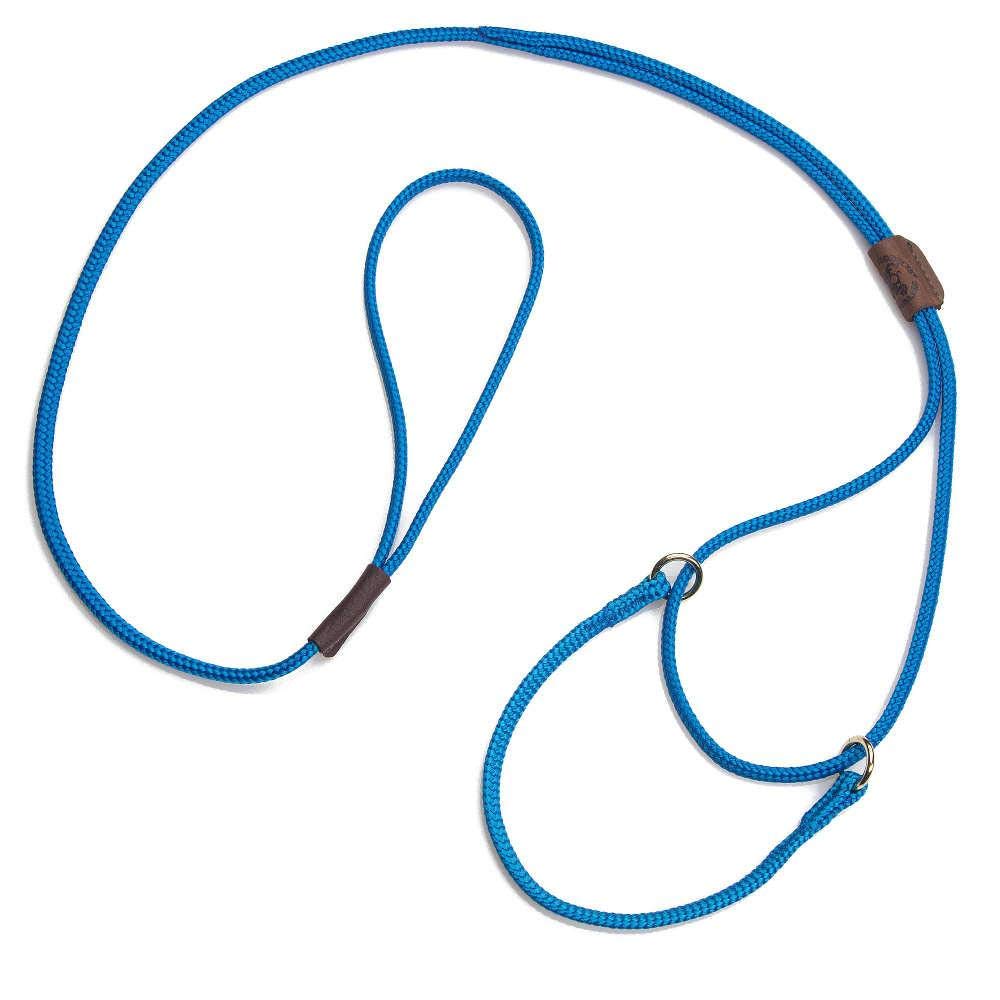 Mendota Pet Show Martingale Style Leash - Leash & Collar Combo, Made In The Usa - Blue, 10 In X 1/8 In X 40 In