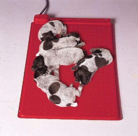 KANE Electric Pet Heat Mat - Self-Regulated, 18x18, Indoor/Outdoor Use, Solid Material