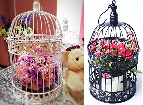 Pet Show Round Birdcages Wedding Gift Cards Holder Metal Wall Hanging Bird Cage For Small Birds Party Indoor Ourdoor Decoration 10.6“ Black Pack Of 1