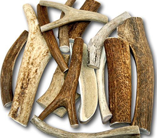 Premium Large Antler (+/- An Ounce Or Two) Variety Pack! No Pieces Under 6! Top Dog Chews Brand! (One Pound)