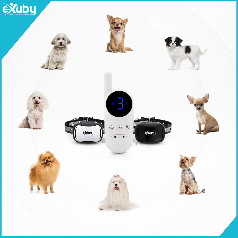 eXuby Tiny Dual Shock Collar - Small, Water-Resistant, Rubber - 9 Intensity Levels - White Remote