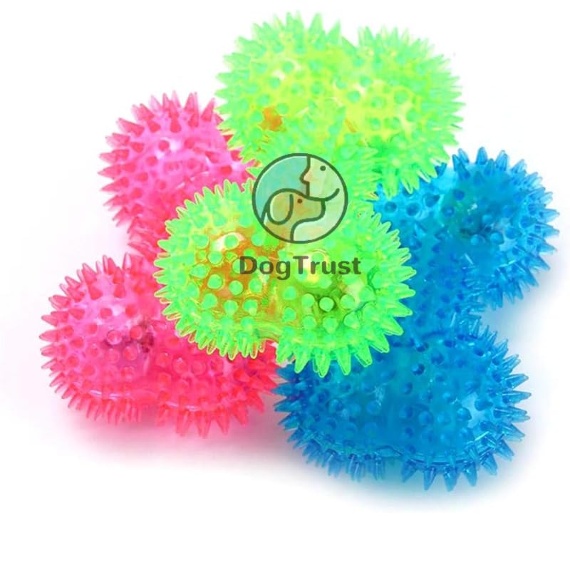Dog Trust Squeaky Puppy Teething Spikey Glitter Bone Chew Toy, NonToxic Tpr Rubber For Small To Medium Dogs  Random Color