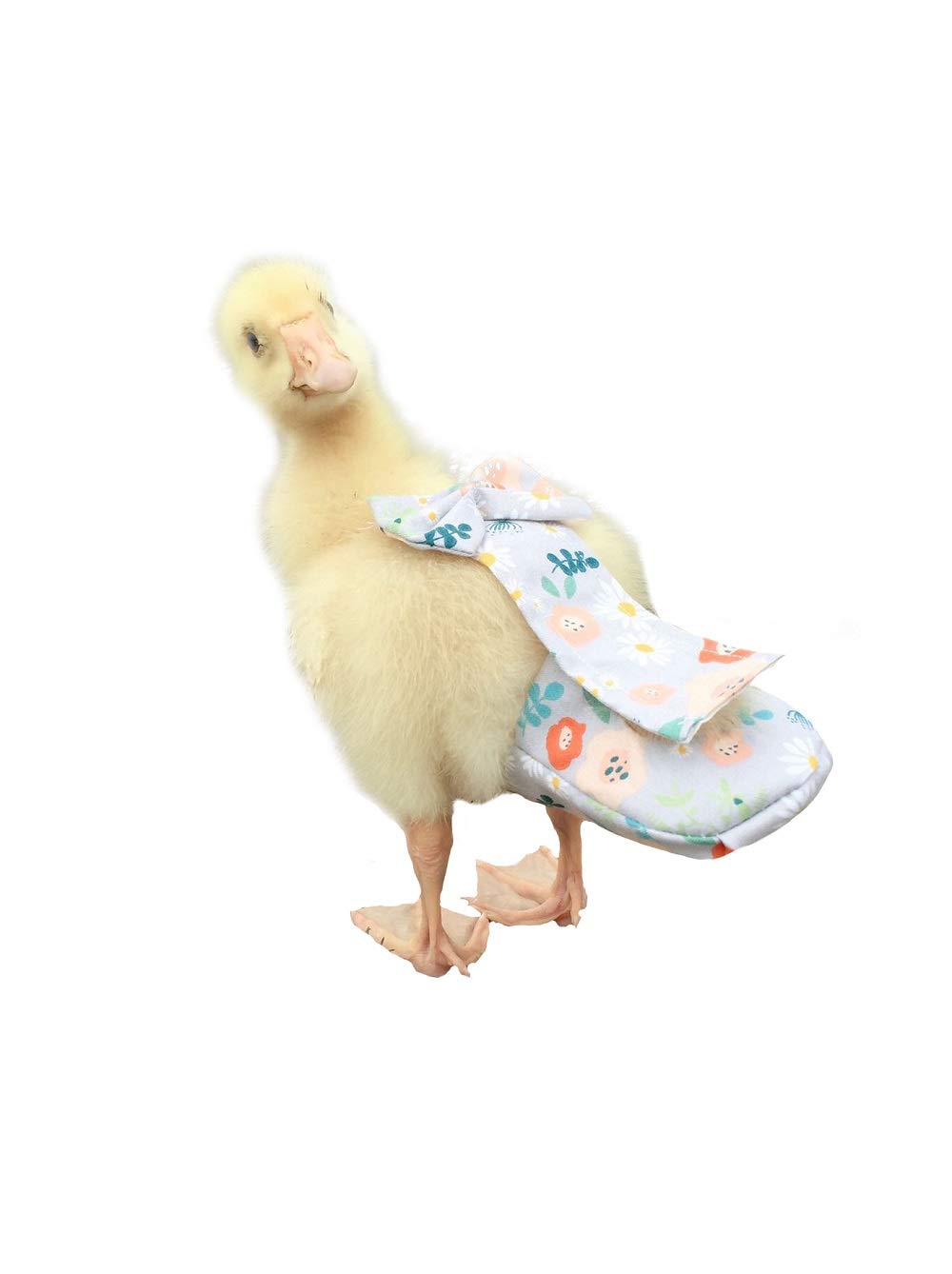 HEZHUO Poultry Diapers, Waterproof, Adjustable, Washable & Reusable - Duck, Chicken & Goose Supplies (2XL:450g-600g)