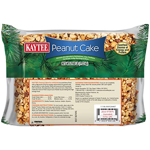 Kaytee Wild Bird Peanut Cake, 2.68 Lb