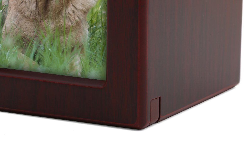 Near & Dear Pet Memorials Mdf Pet Photo Cremation Urn, 85 Cubic Inch, Cherry Finish