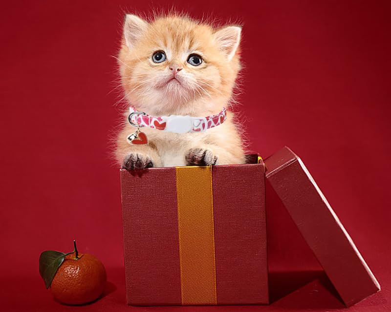 Lionet Paws 2Pcs Pack Valentine'S Day Cotton Cat Collar,Breakaway Buckle With Pink Red Heart Cute Adjustable Cat Kitten Collar,I